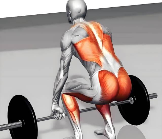 Deadlift vs. Romanian Deadlift: Differences, Benefits, How Tos