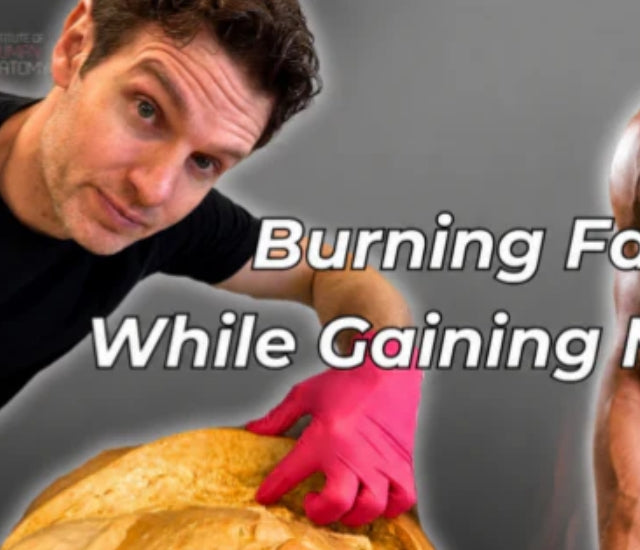 Institute of Human Anatomy video cover about fat loss and muscle gain