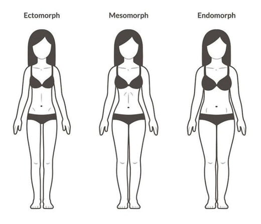 3 Body Types and How They Affect Your Training