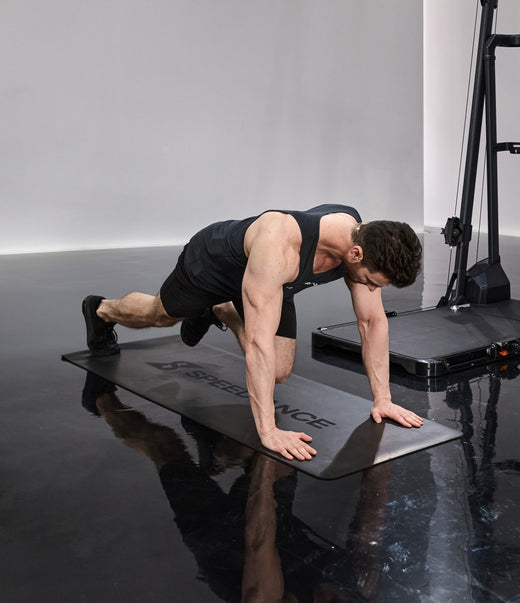 Mountain Climbers