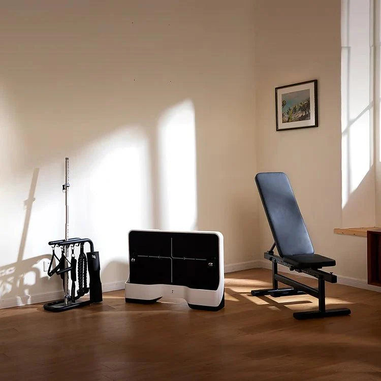 Speediance Gym Pal Compact Home Gym Machine Speediance Gym Pal Compact Home Gym Machine